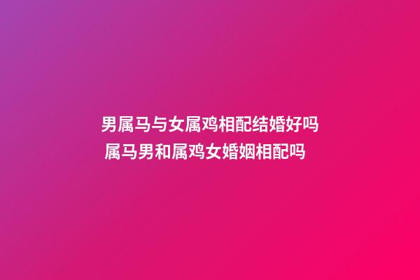 男属马与女属鸡相配结婚好吗 属马男和属鸡女婚姻相配吗